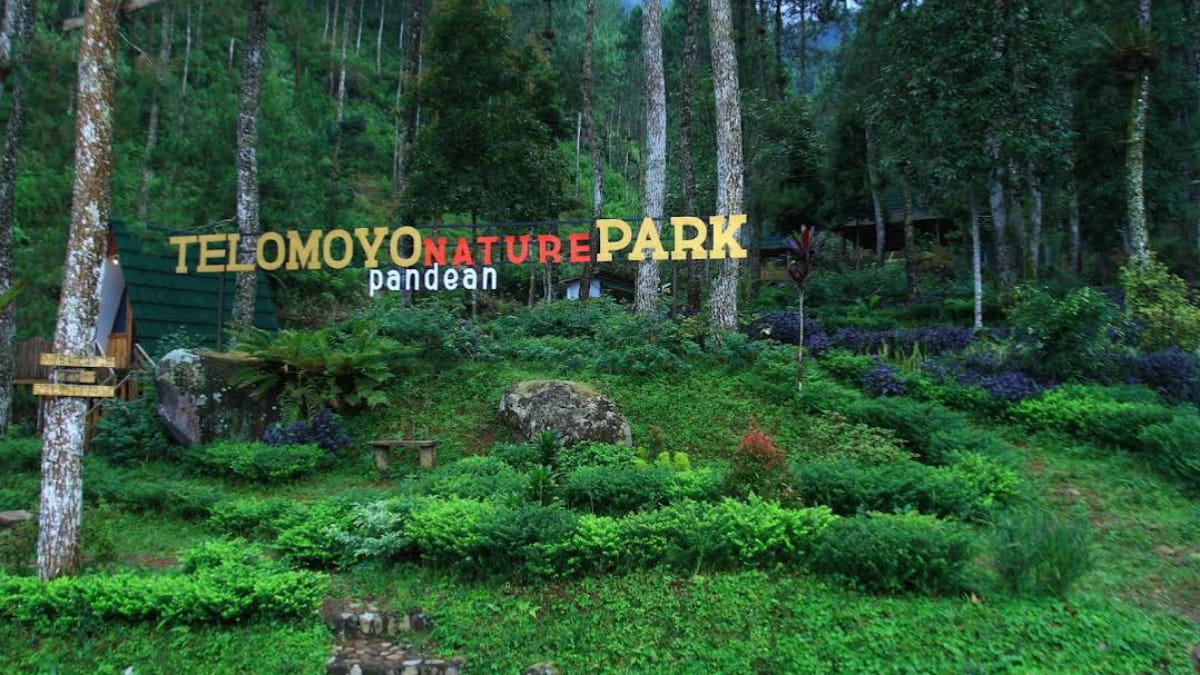 Telomoyo Nature Park: Destinasi Alam Menakjubkan di Jawa Tengah